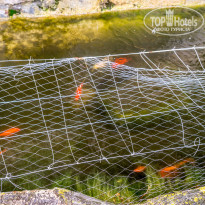 фото из отзыва ID 1469796