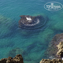 фото из отзыва ID 1469890