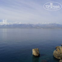 фото из отзыва ID 1469890