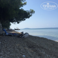 фото из отзыва ID 1469923