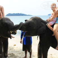 фото из отзыва ID 1469639