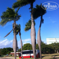 фото из отзыва ID 1469979