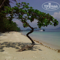 фото из отзыва ID 1468808