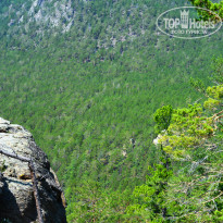 фото из отзыва ID 1467045