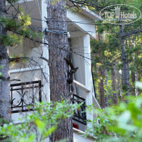 фото из отзыва ID 1467045