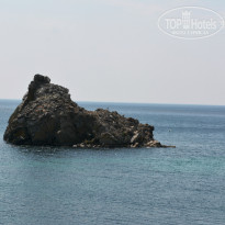 фото из отзыва ID 1467045