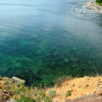 фото из отзыва ID 1467045