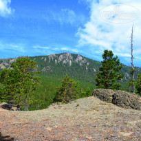 фото из отзыва ID 1467045