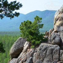 фото из отзыва ID 1467045