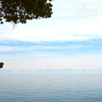 фото из отзыва ID 1467045