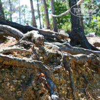 фото из отзыва ID 1467045