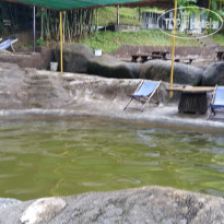 фото из отзыва ID 1460492