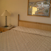 фото из отзыва ID 14746