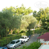 фото из отзыва ID 147516