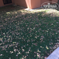 фото из отзыва ID 1470253