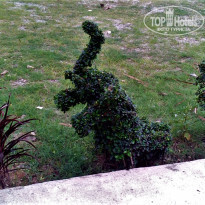 фото из отзыва ID 1470260