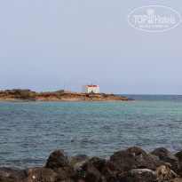 фото из отзыва ID 1470453