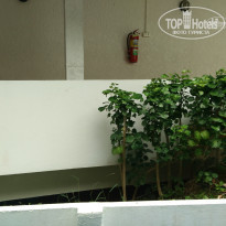 фото из отзыва ID 1470571