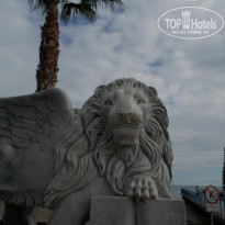 фото из отзыва ID 1470439