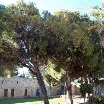 фото из отзыва ID 1470439