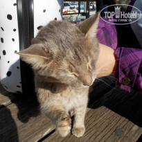 фото из отзыва ID 1470439