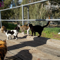 фото из отзыва ID 1470439