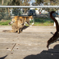 фото из отзыва ID 1470439