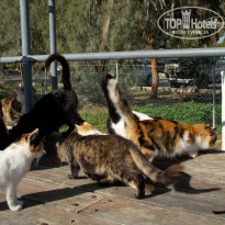 фото из отзыва ID 1470439