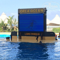 фото из отзыва ID 1470780