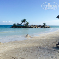 фото из отзыва ID 1470858