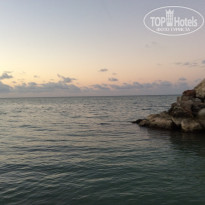 фото из отзыва ID 1470858