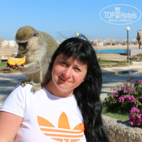 фото из отзыва ID 1470876