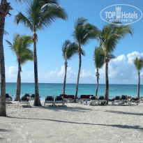 фото из отзыва ID 1470906