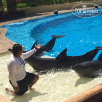 фото из отзыва ID 1470906