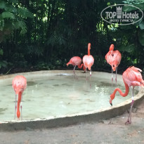 фото из отзыва ID 1470906