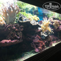 фото из отзыва ID 1470913