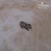 фото из отзыва ID 1470973