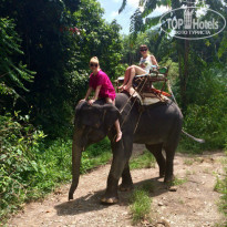 фото из отзыва ID 1471025