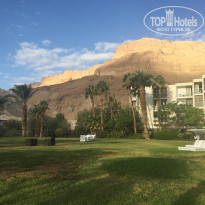 фото из отзыва ID 1471054