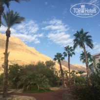 фото из отзыва ID 1471054