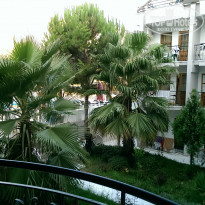 фото из отзыва ID 1471055