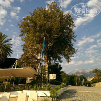 фото из отзыва ID 1471055