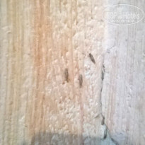 фото из отзыва ID 1471135