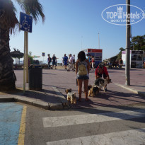 фото из отзыва ID 1471150