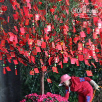 фото из отзыва ID 1471172