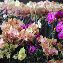 фото из отзыва ID 1471172