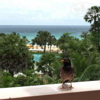 фото из отзыва ID 1471209