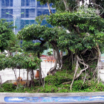 фото из отзыва ID 1471290