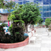 фото из отзыва ID 1471290