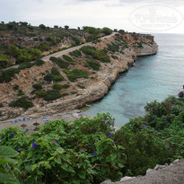 фото из отзыва ID 1471292